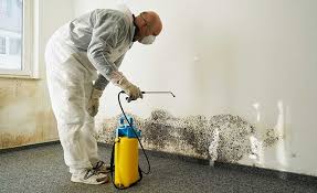 Mold Removal for HVAC Installations in Shorewood, WI