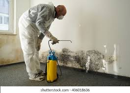 Why You Should Choose Our Mold Remediation Services in Shorewood, WI